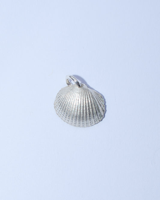 Seashell (small)