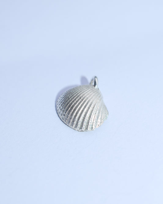 Seashell (medium)