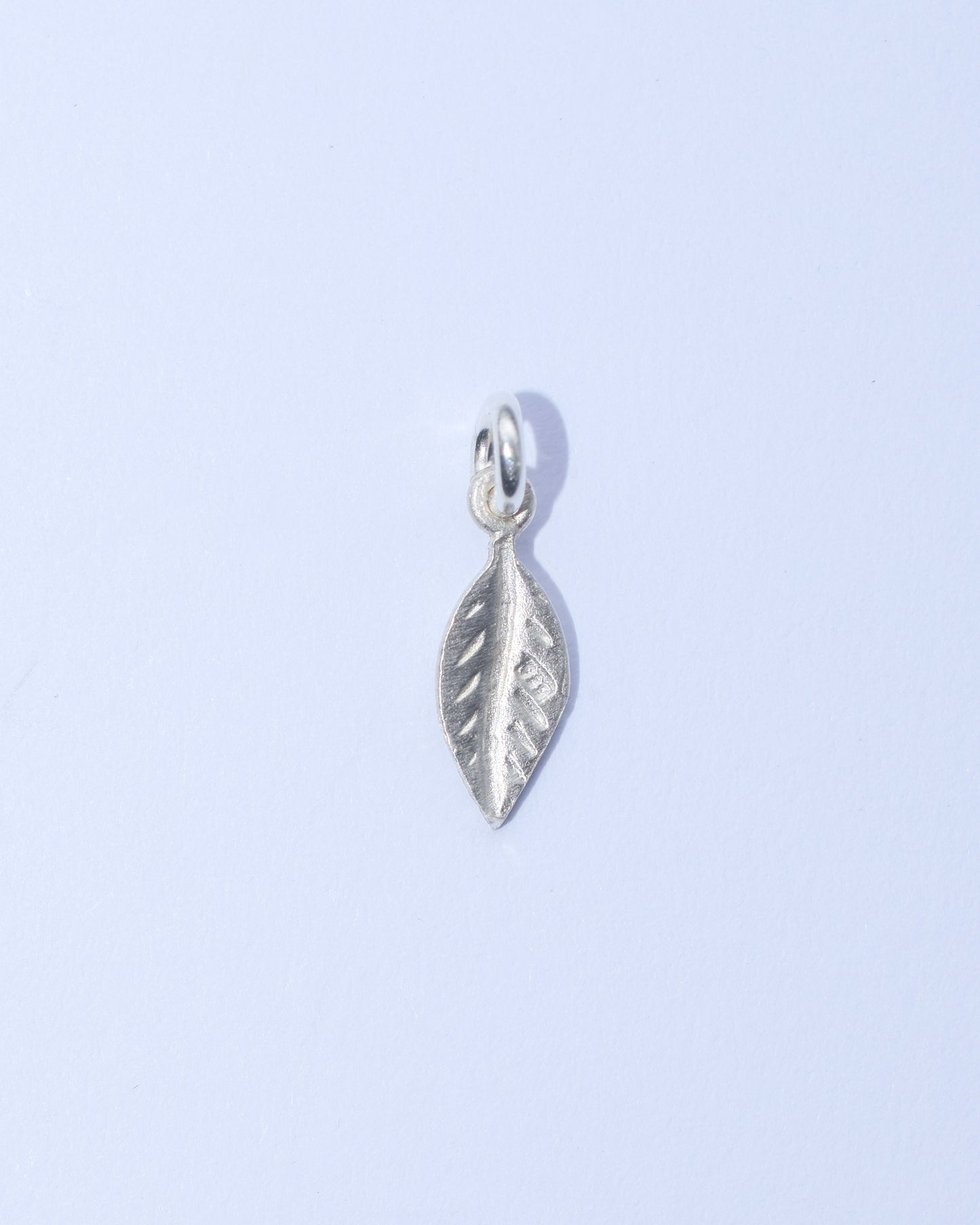 Feather (small)