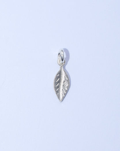 Feather (small)